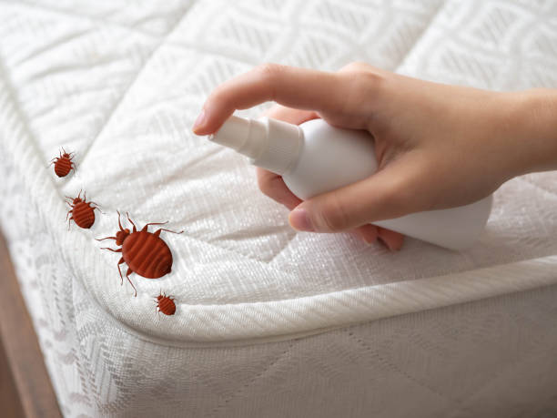 Best Pest Exclusion Services  in Cranford, NJ